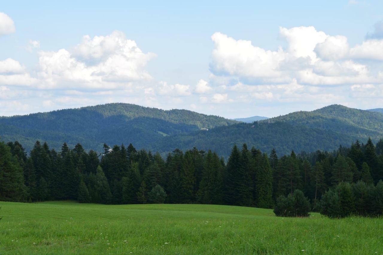 Forrest Apartment Krynica Buitenkant foto